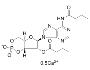 Bucladesine calcium (DC2797) 938448-87-4